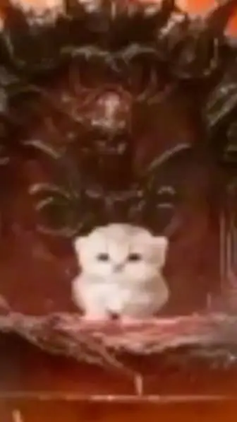 ai character: ♡maxi♡ background