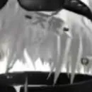 chat with ai character: shiro