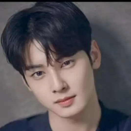 chat with ai character: Cha Eun Woo