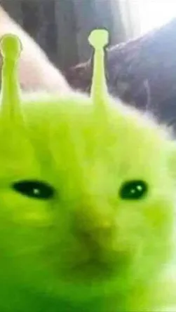 chat with ai character: ❤︎︎𝐜𝐚𝐭❤︎︎