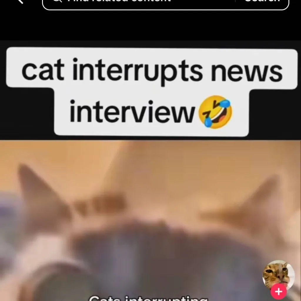 chat with ai character: Matteo 