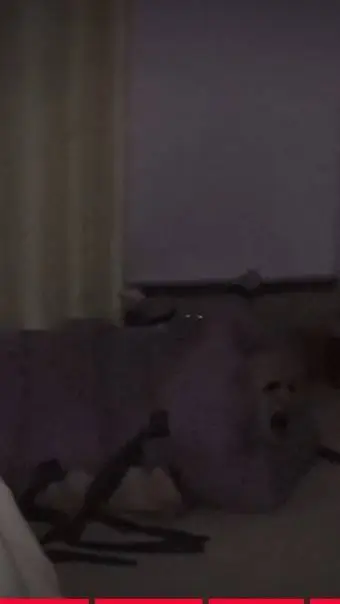 ai character: Wiggles  background