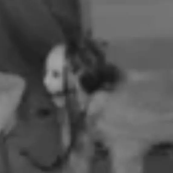 chat with ai character: Chloe (dog form)