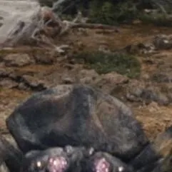 chat with ai character: kumonga 1969