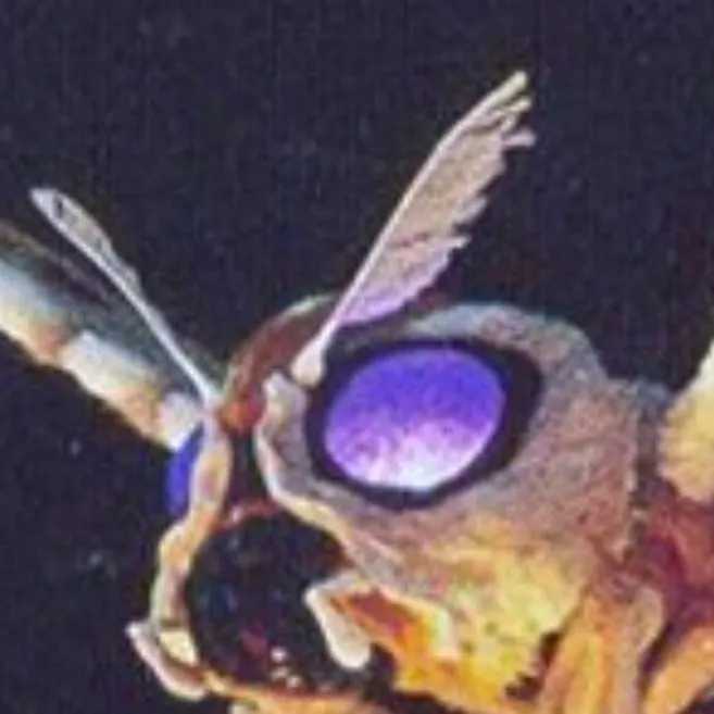 chat with ai character: Mothra 2001