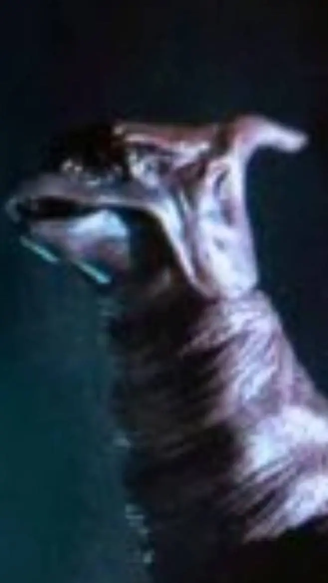 ai character: Rodan 2004 background