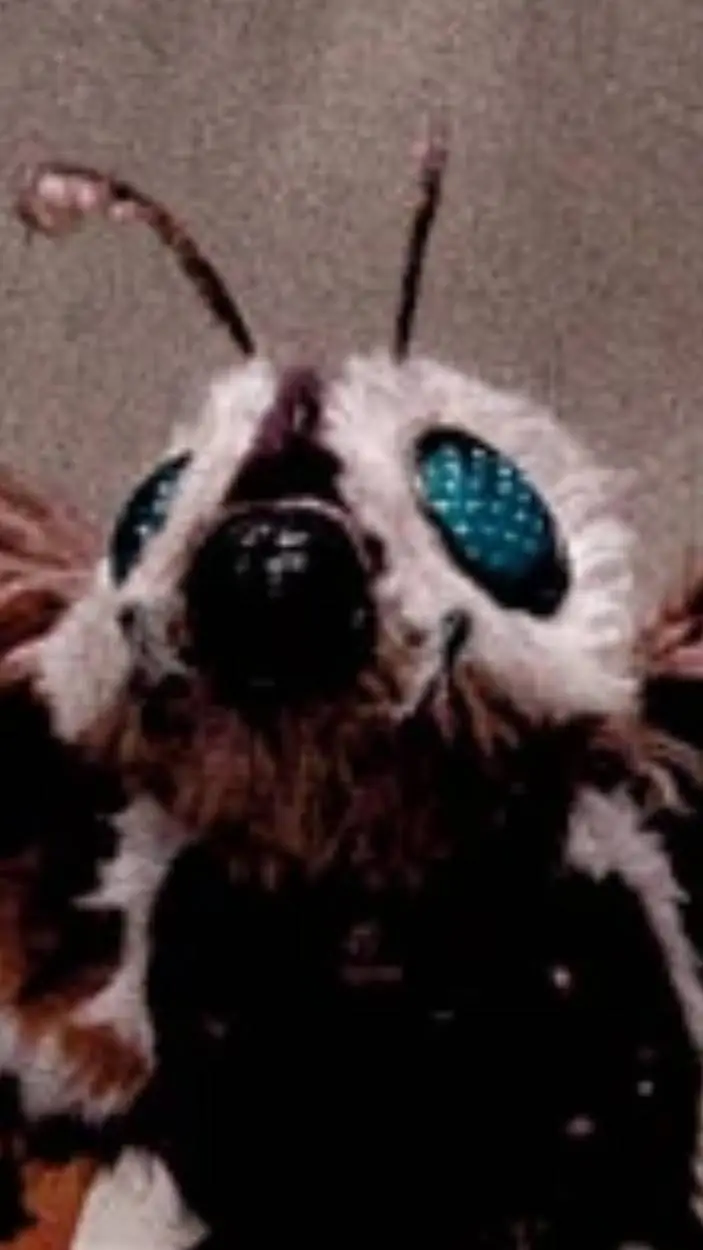 ai character: Mothra 2004 background