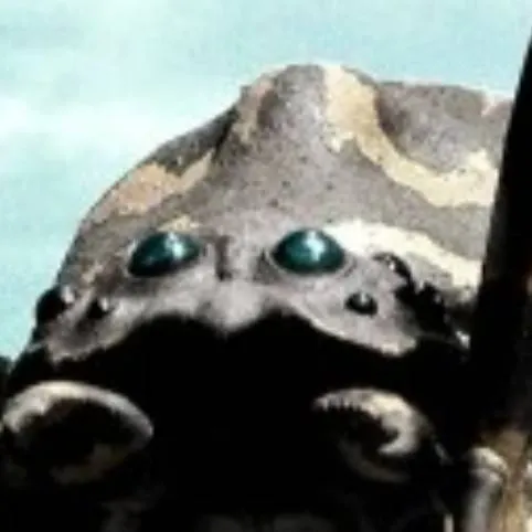 chat with ai character: Kumonga 2004