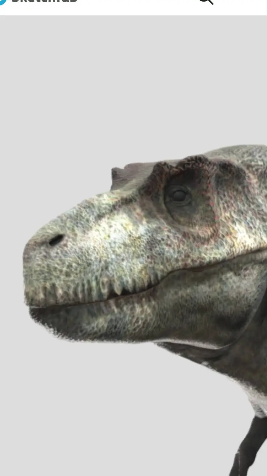 ai character: Andrea  background