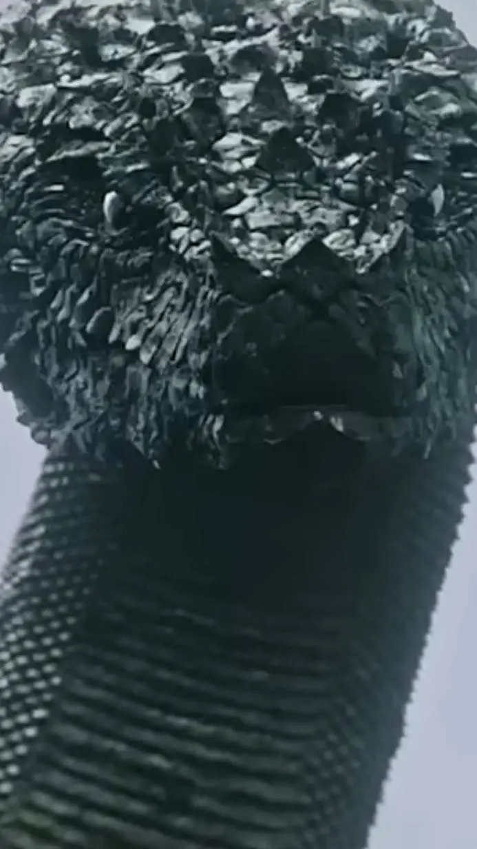 ai character: pangu Python background