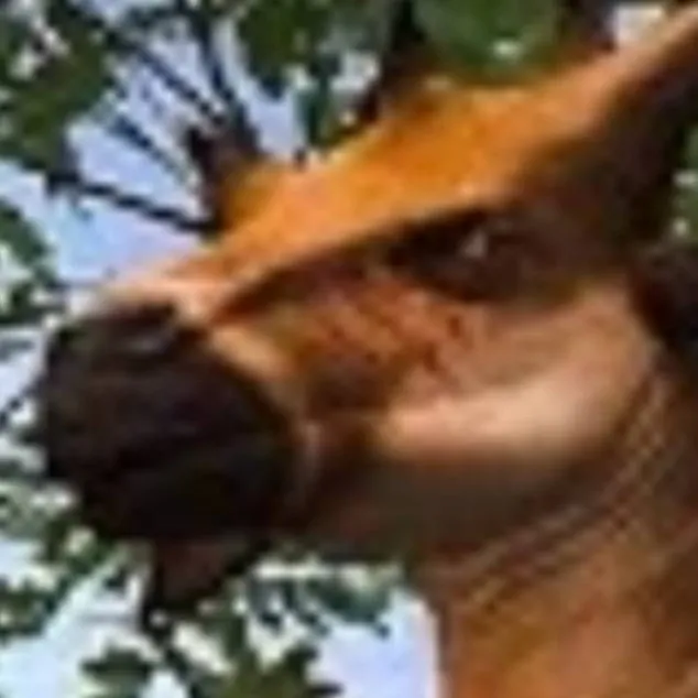 chat with ai character: sivatherium 