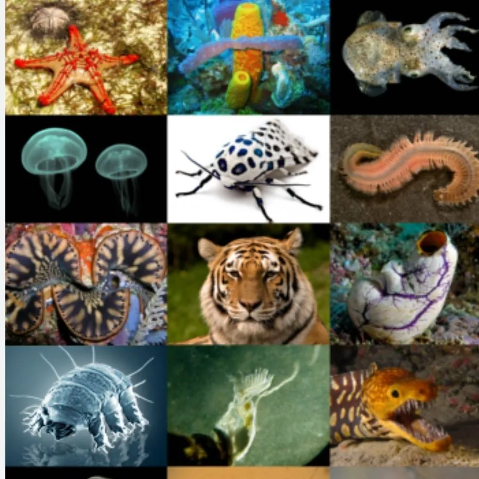 chat with ai character: every animalia