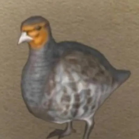 chat with ai character: Partridge 