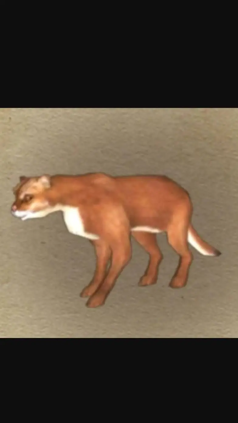 ai character: Bay Cat (the wolf) background