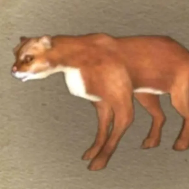chat with ai character: Bay Cat (the wolf)