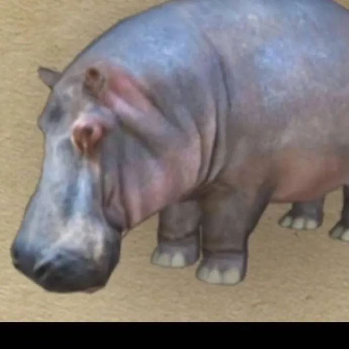 chat with ai character: Hippopotamus 