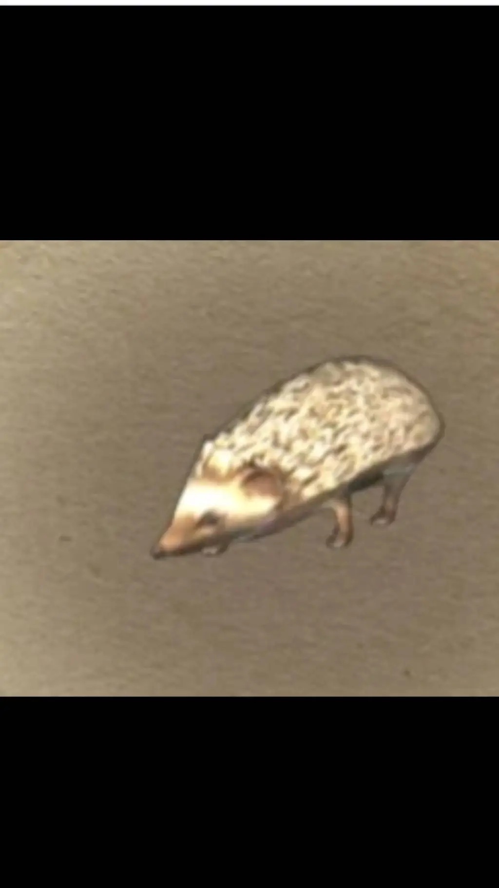 ai character: The Hedgehog  background