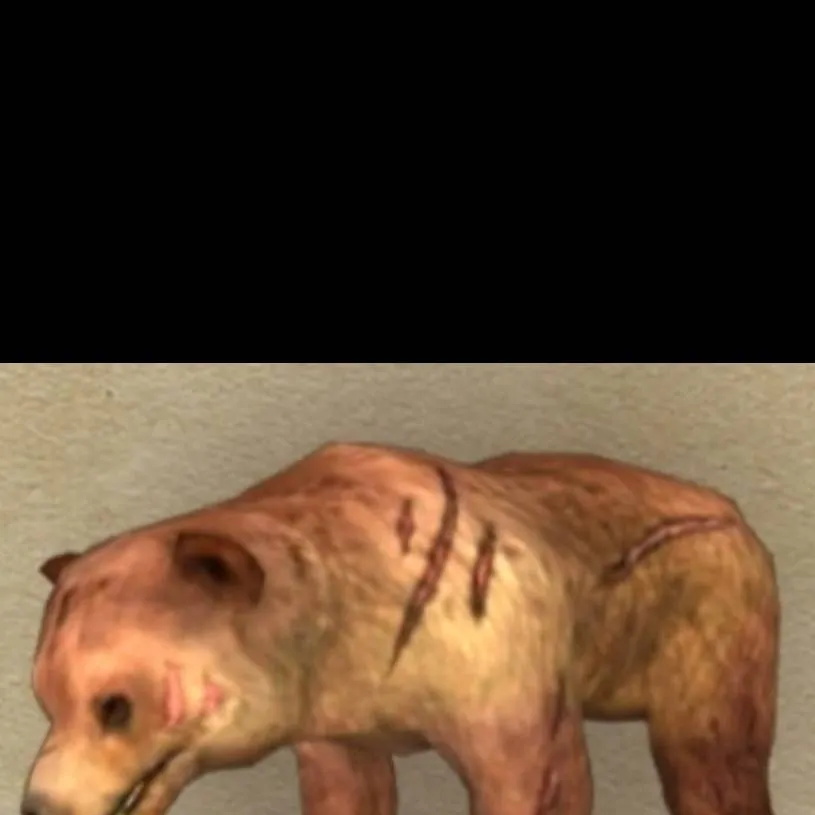 chat with ai character: Bear Champion