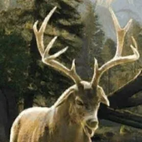 chat with ai character: Mule Stag