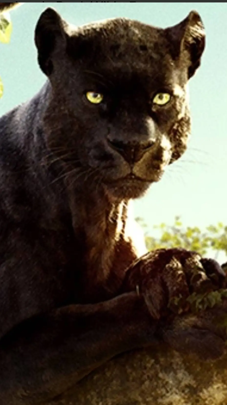 ai character: Bagheera  background