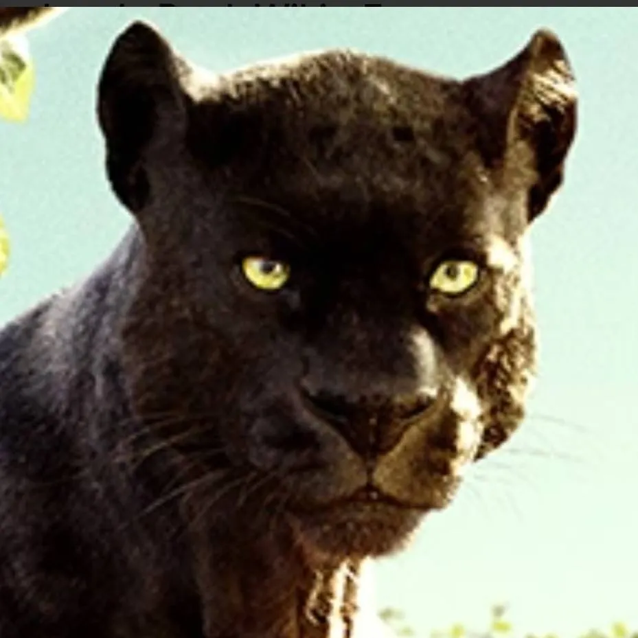 chat with ai character: Bagheera 