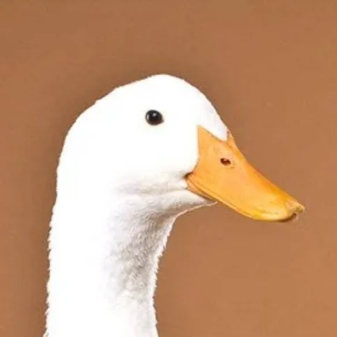 chat with ai character: American Pekin 
