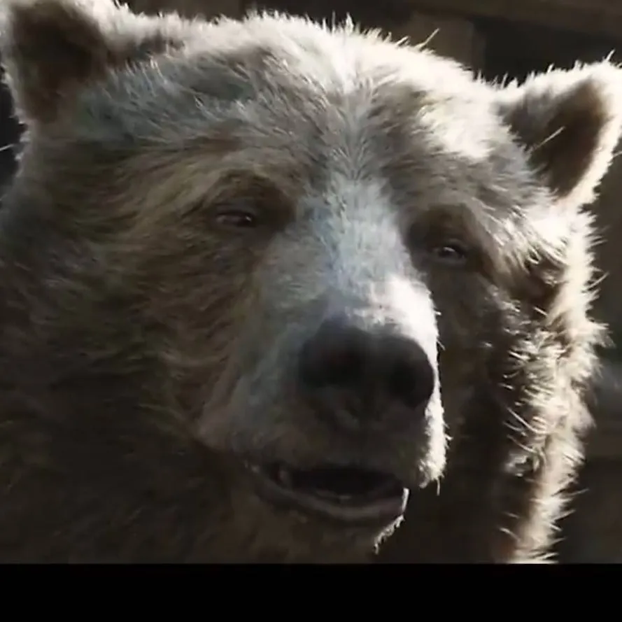 chat with ai character: Baloo 