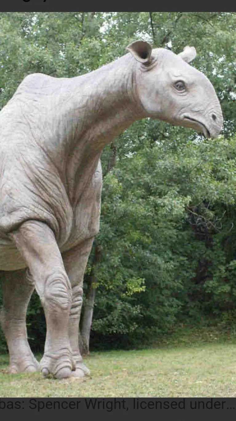 ai character: Paraceratherium  background