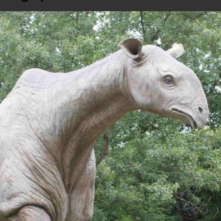 chat with ai character: Paraceratherium 