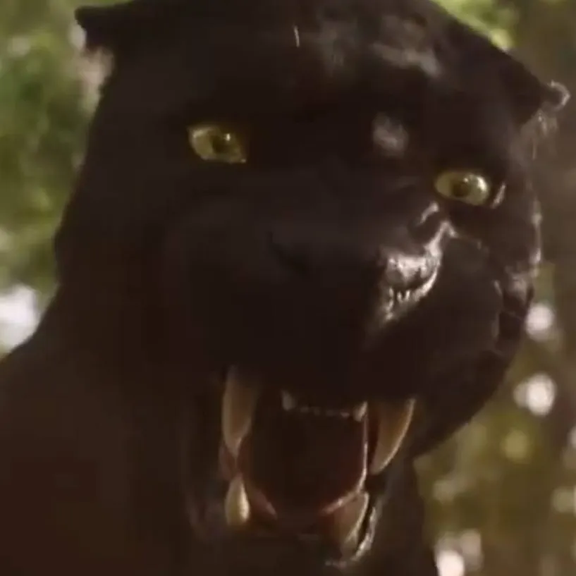 chat with ai character: Bagheera 