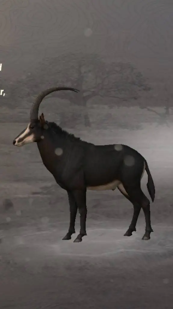 ai character: Sable Antelope  background