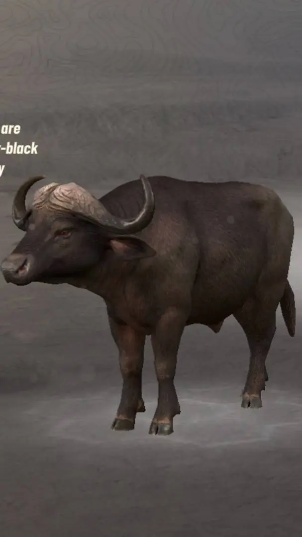ai character: BlackBeard Buffalo background