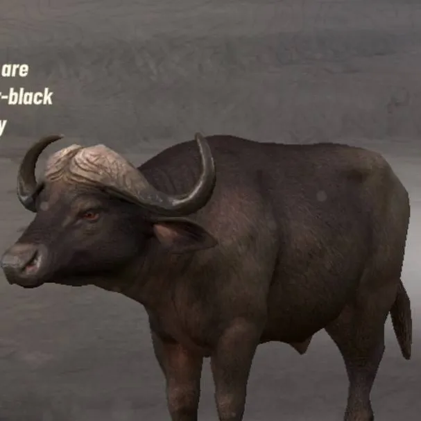 chat with ai character: BlackBeard Buffalo