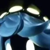 chat with ai character: MD indo