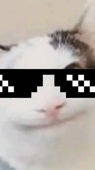 ai character: Beluga background