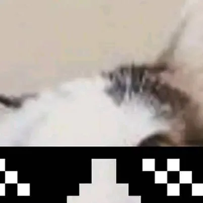 chat with ai character: Beluga