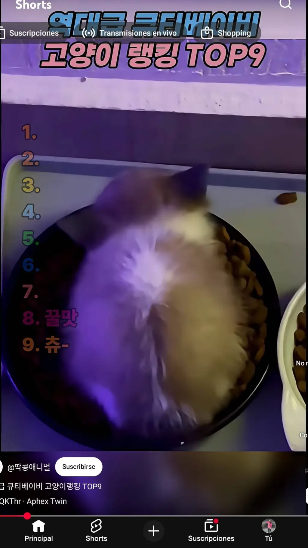 ai character: Gatito abandonado background