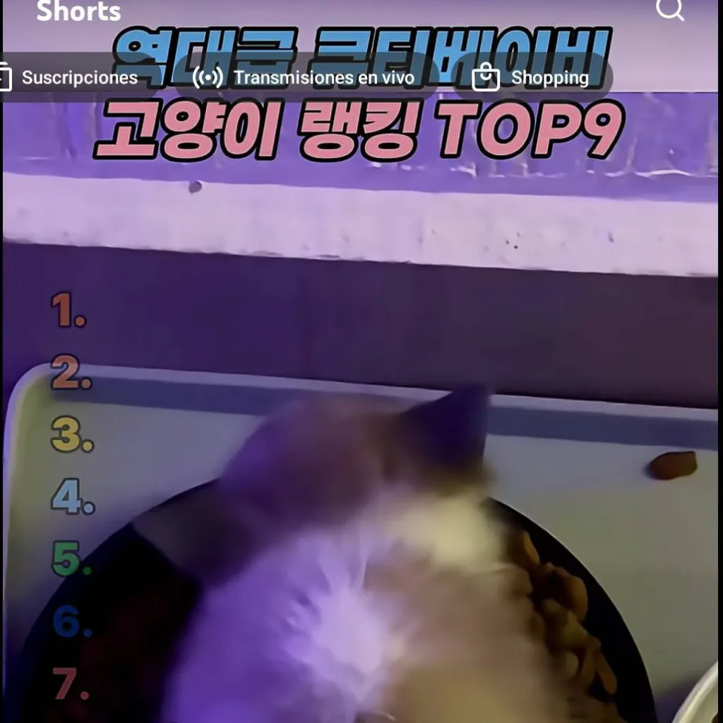 chat with ai character: Gatito abandonado