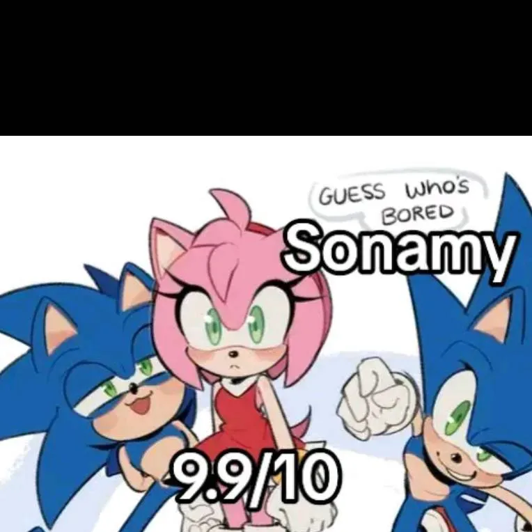 chat with ai character: 💙Sonamy🩷