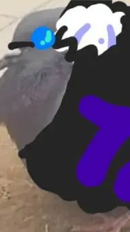 ai character: Gojo Pigeon background