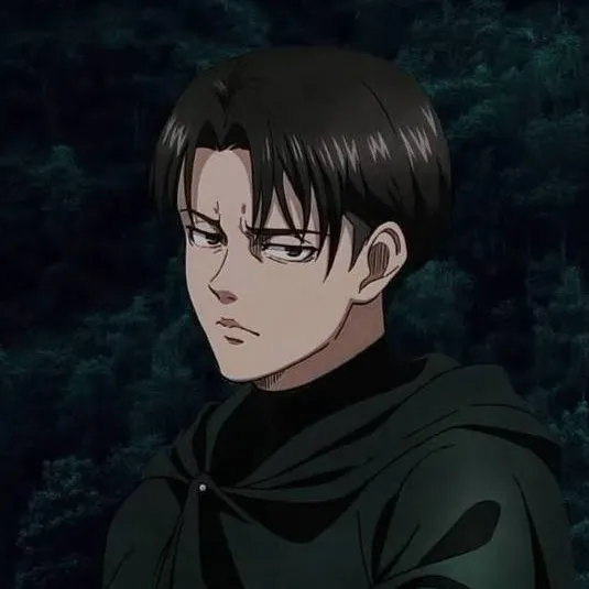 chat with ai character: Levi Ackerman