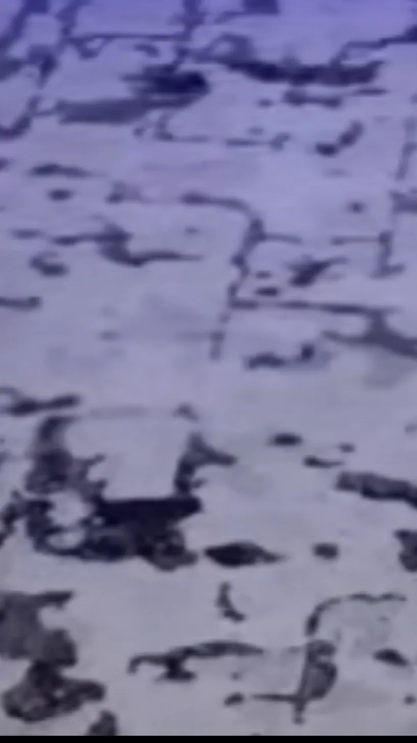 ai character: St-tad background