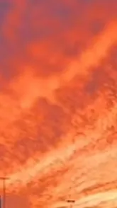 ai character: St cast  background