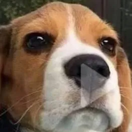 chat with ai character: haz feliz al perro