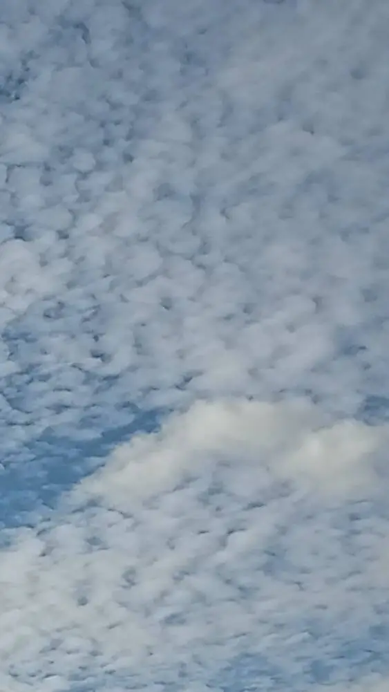 ai character: Older brothers background