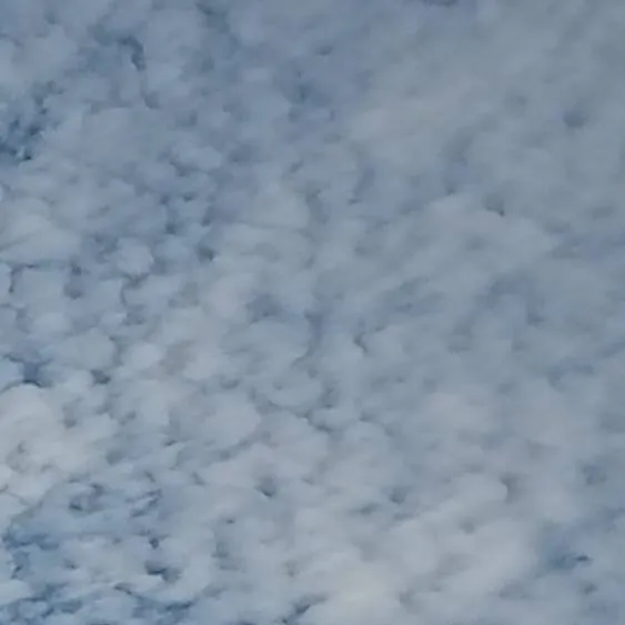 chat with ai character: Older brothers