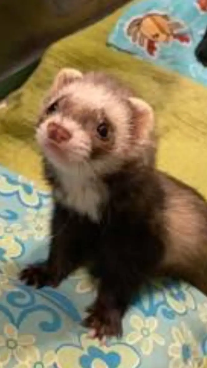 ai character: mha background