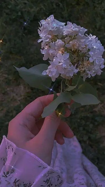 ai character: Ariel background