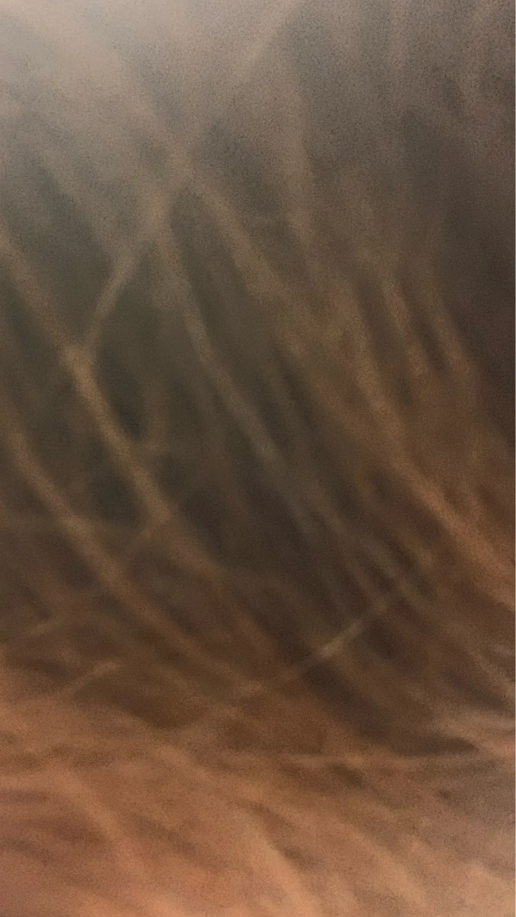 ai character: 1VERSE background