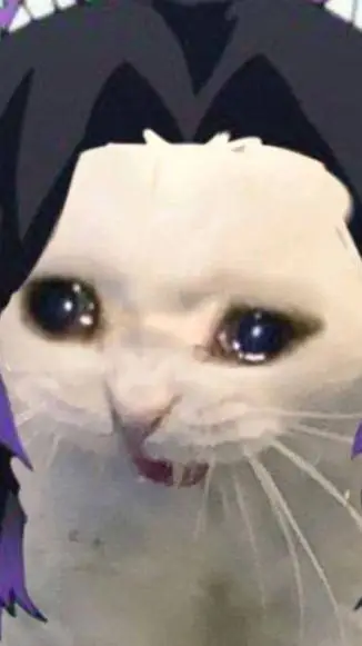 ai character: 💢 la peligrosa 💢 background